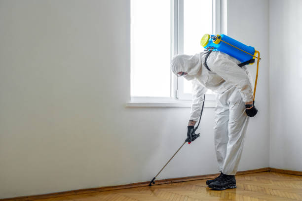 Pest Prevention Services in Independence, KS