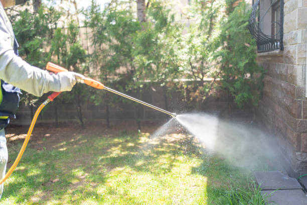 Professional Pest Control in Independence, KS