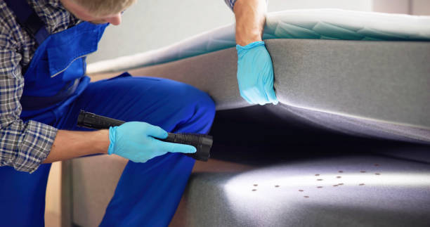 Best Pest Removal Services  in Independence, KS