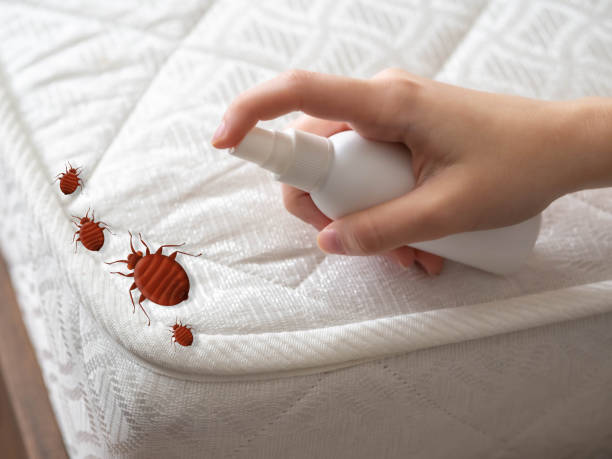 Best Pest Inspection Near Me  in Independence, KS