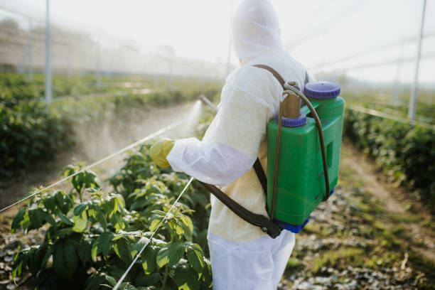 Best Emergency Pest Control  in Independence, KS